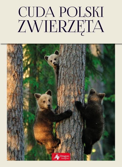 

Cuda Polski Zwierzęta Łukasz Przybyłowicz