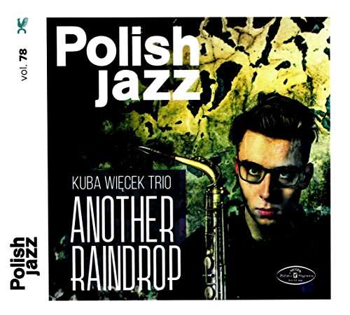 

Kuba Więcek Trio Another Raindrop (polish Jazz)