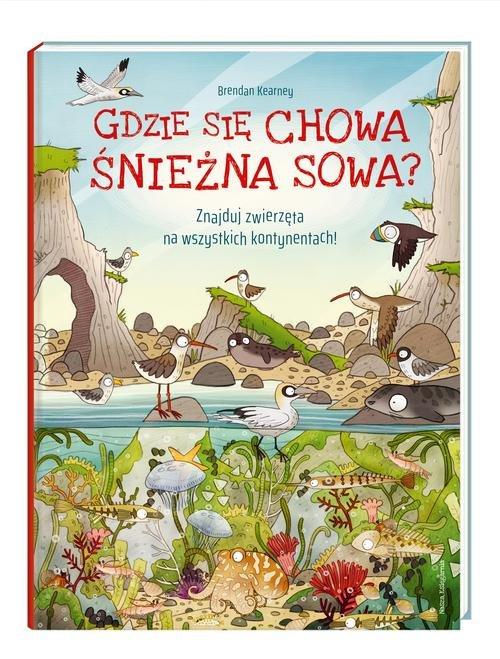 

Gdzie się chowa śnieżna sowa Anna Claybourne