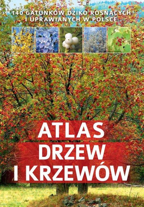 

Atlas drzew i krzewów Aleksandra Halarewicz
