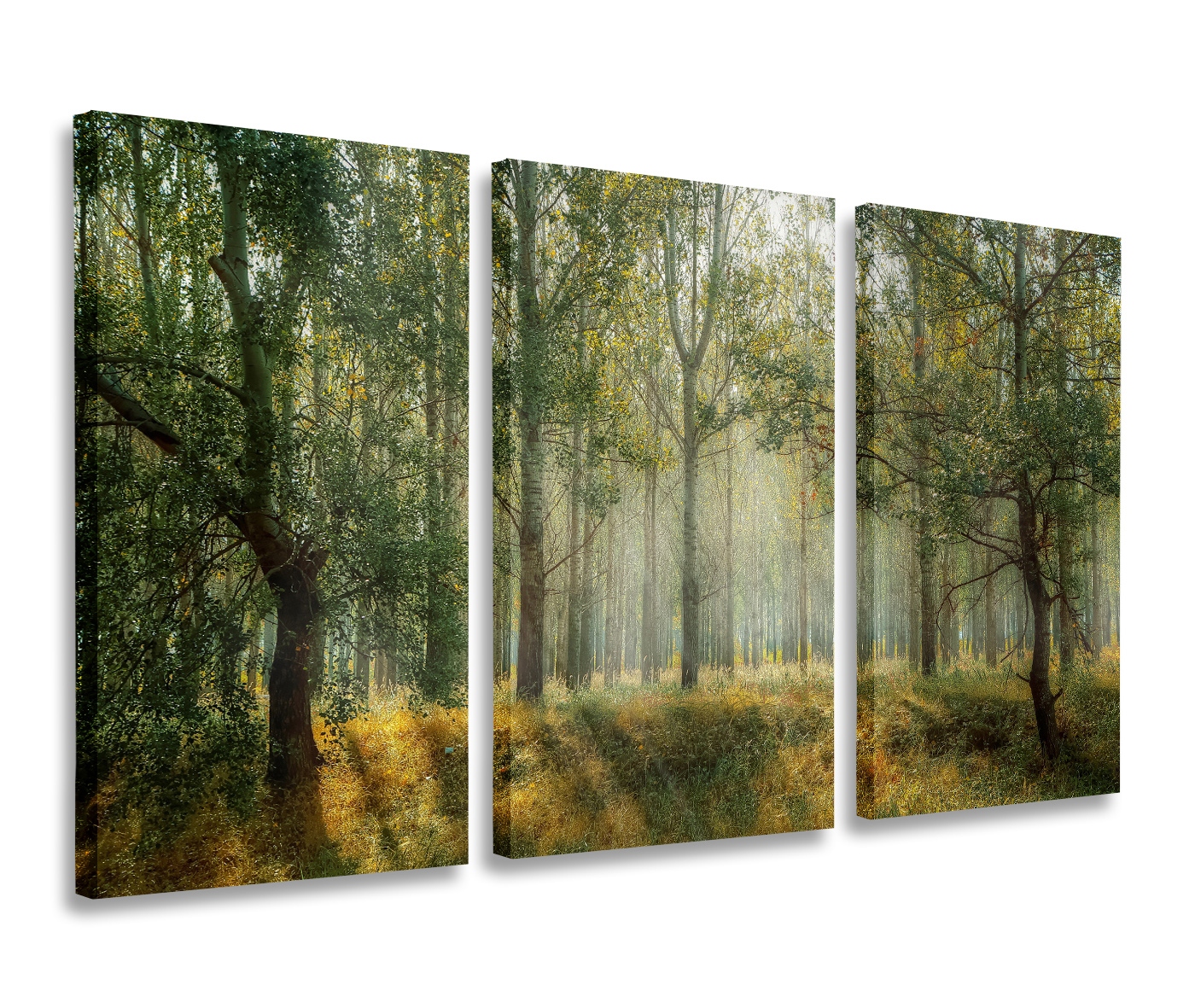 

Obraz Las Natura Widok Obrazy Tryptyk 120x80