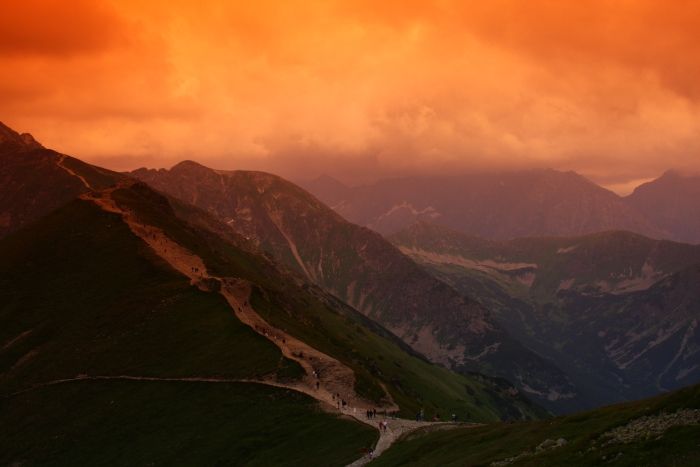 фільтр POŁÓWKOWY 40,5 мм для SONY NEX-5T NEX - 3N NEX-6 Модель 2551