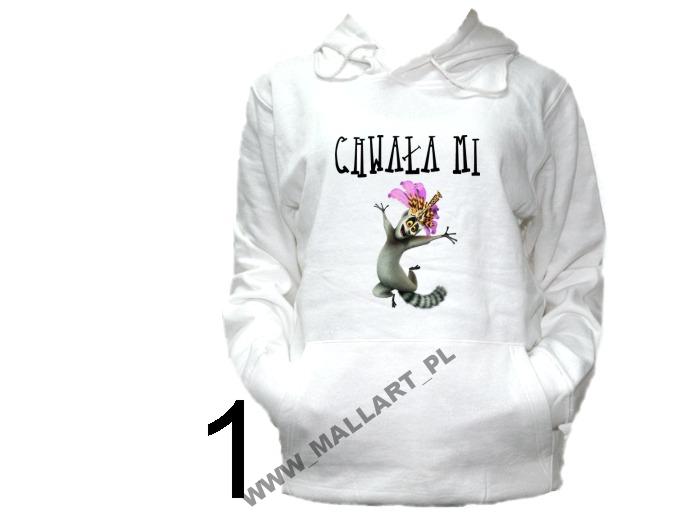 

Bluza Wzory Król Julian Teksty Pingwiny