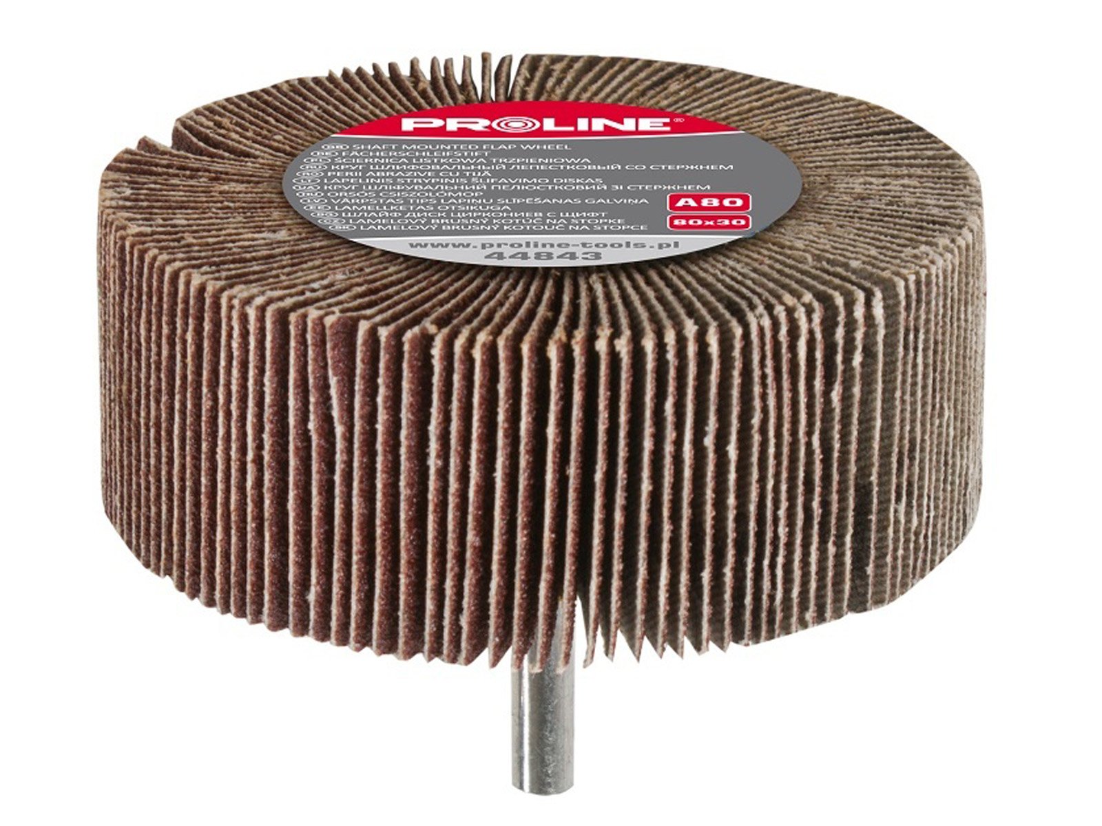 

Proline Trzpieniowa ściernica listkowa 80x30 g 60