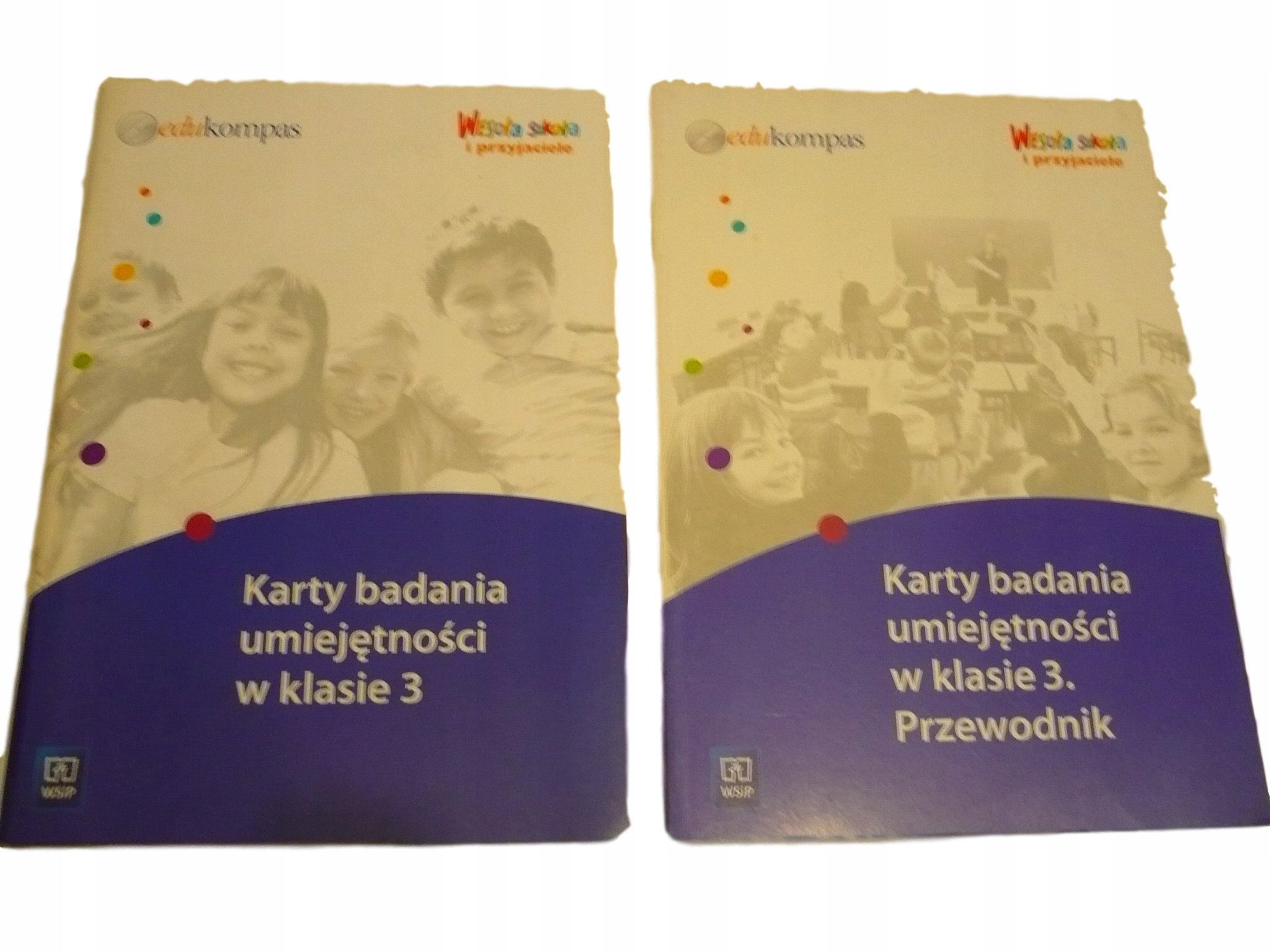 Diagnoza Umiejętności Po Klasie 2 Wsip Karty Badania Umiejętności W Klasie 3 Allegro | Allegro Poland