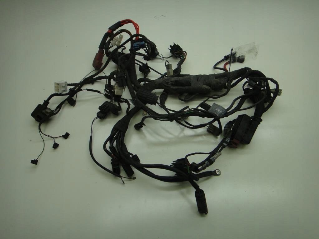 12152020 - Электропроводка BMW F650 CS