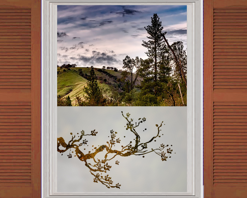 NAKLEJKA folia MATUJĄCA Piaskowane szkło ZAZDROSKA Transparentność półmatowa