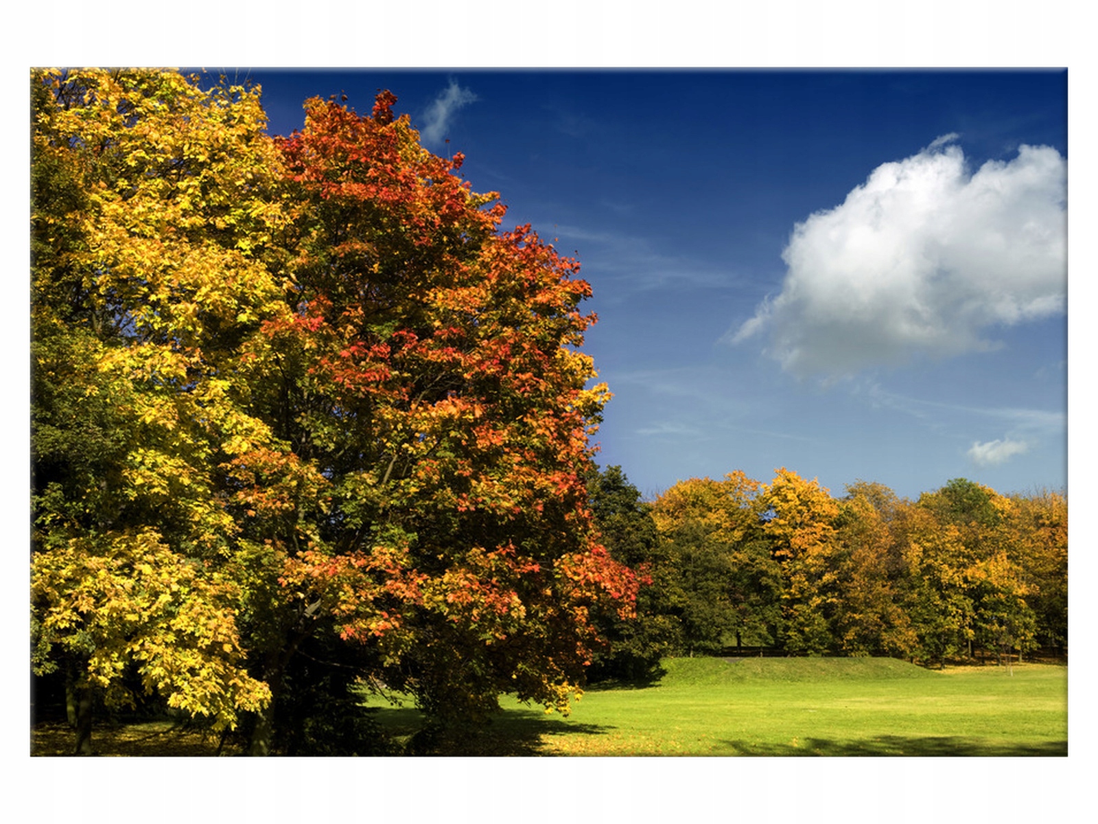 

Obraz Park jesienią 60x40 park jesienią jesień