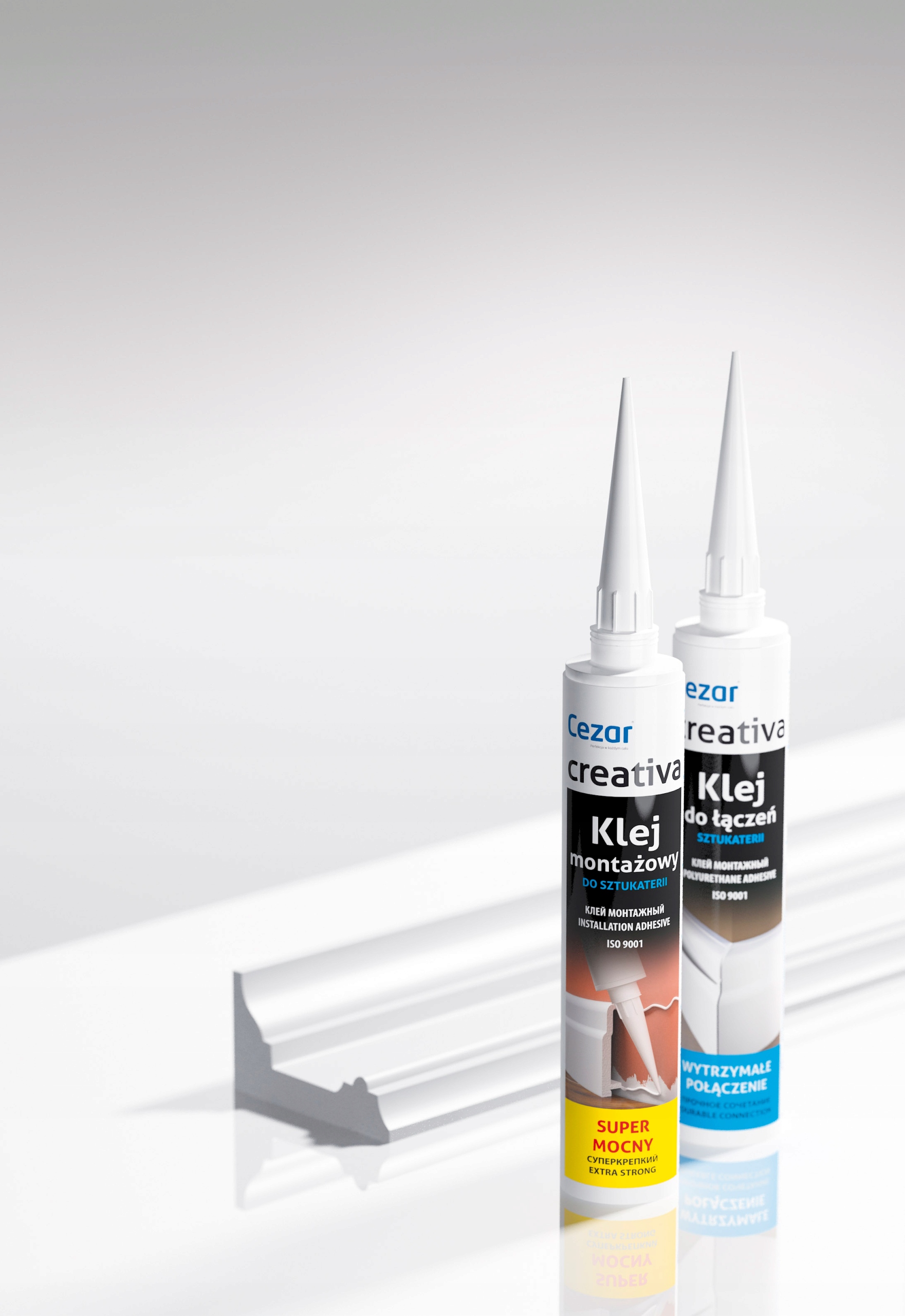 Listwy ścienne białe LNG-14 Creativa 10,1 cm x 2,2 Rodzaj listwa ścienna