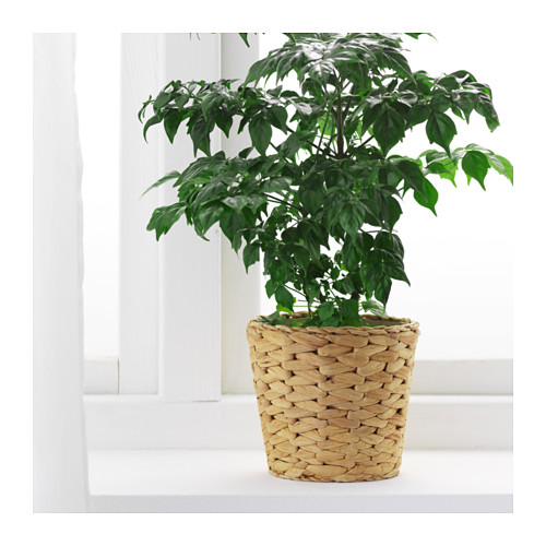 IKEA osłonka doniczki FRIDFULL osłonki 12 cm Kod producenta IKEA