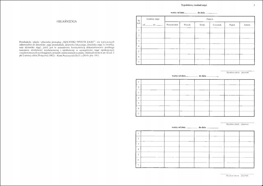 Dziennik innych zajęć Marka Micromedia