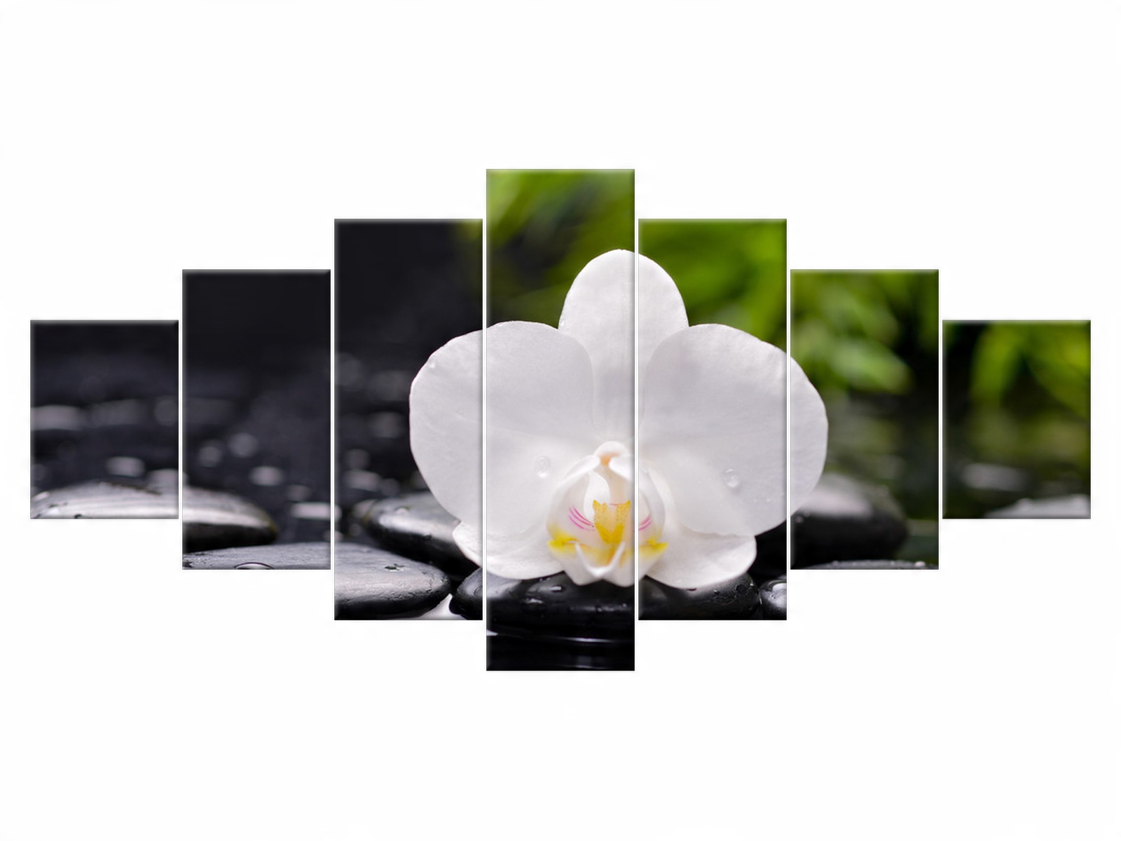 

Obraz Biała orchidea 210x100 Kwiaty 1707A_7A