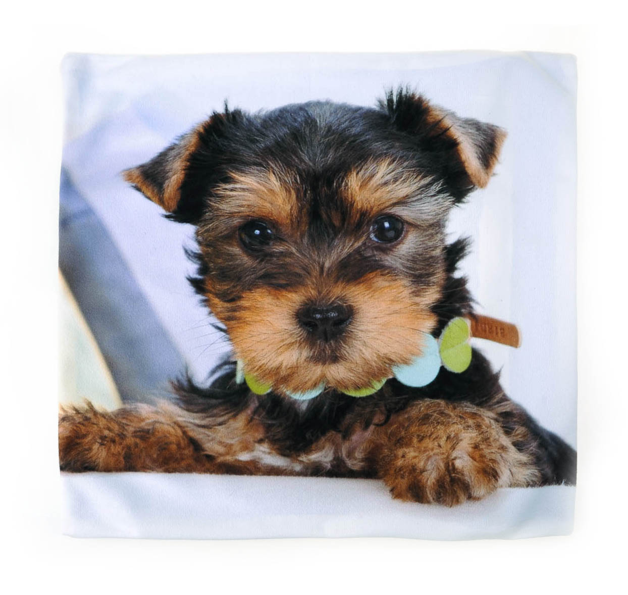 PODUSZKA PIES 21 RODZINNA SJESTA POSZWY PRODUCENT Szerokość produktu 40 cm