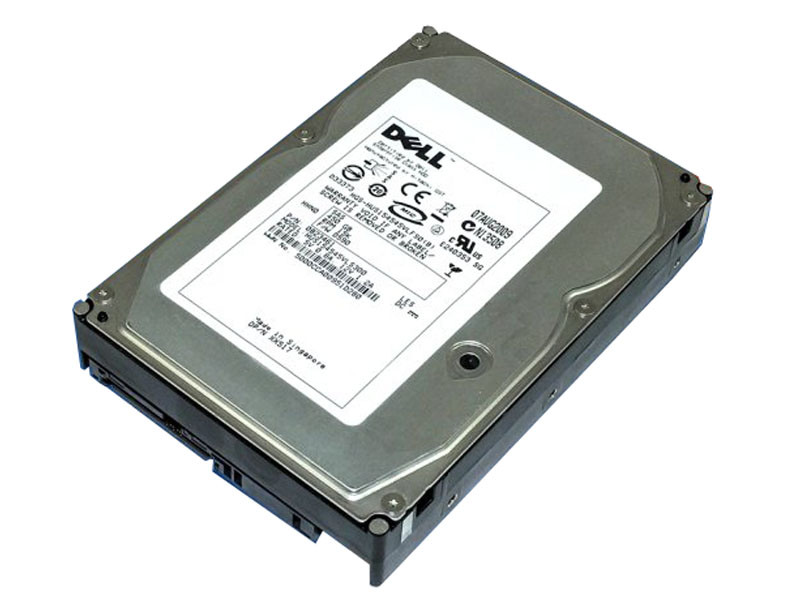 Dell 0B23461 450GB 15K Sas 3,5' HUS154545VLS300