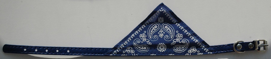 

Obroża -31 cm- Z Chustą 4