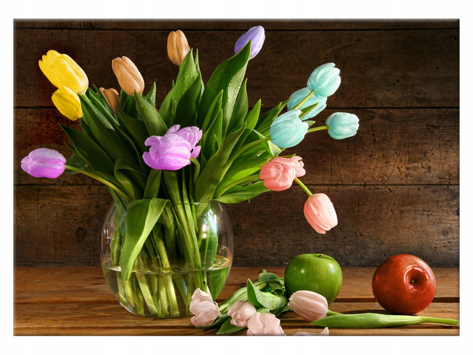 Obraz Kolorowe tulipany 70x50 Kwiaty na płótnie