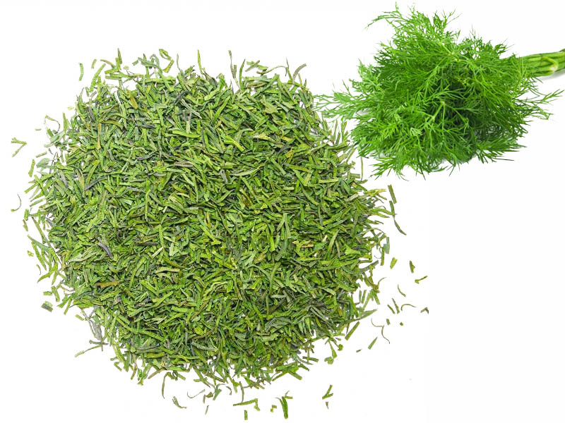 Levně Sušený Kopr 1 Kg Potravinářský 1 Gat. Bez Stonku Loď