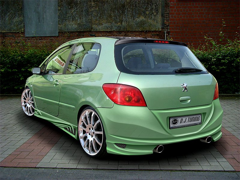 PEUGEOT 307 PROGI REACTOR DJ TUNING Manufacturer Dj tuning