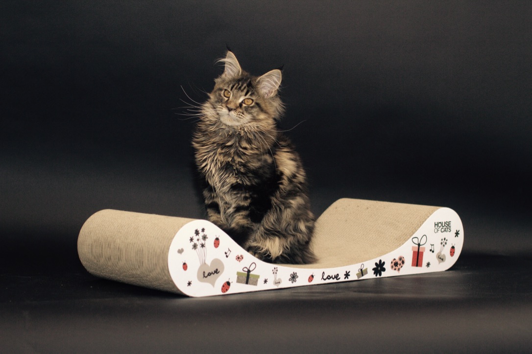 Levně Škrabadlo, kartonový dárek , lehátko z House of Cats