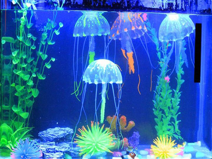

Meduza Świecąca Ozdoba Do Akwarium Ozdoby 5CM Nowa