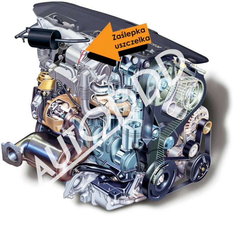 1. Zaślepka EGR RENAULT 1.9 dCi OPEL 1.9 DTI DI Numer katalogowy części Z1