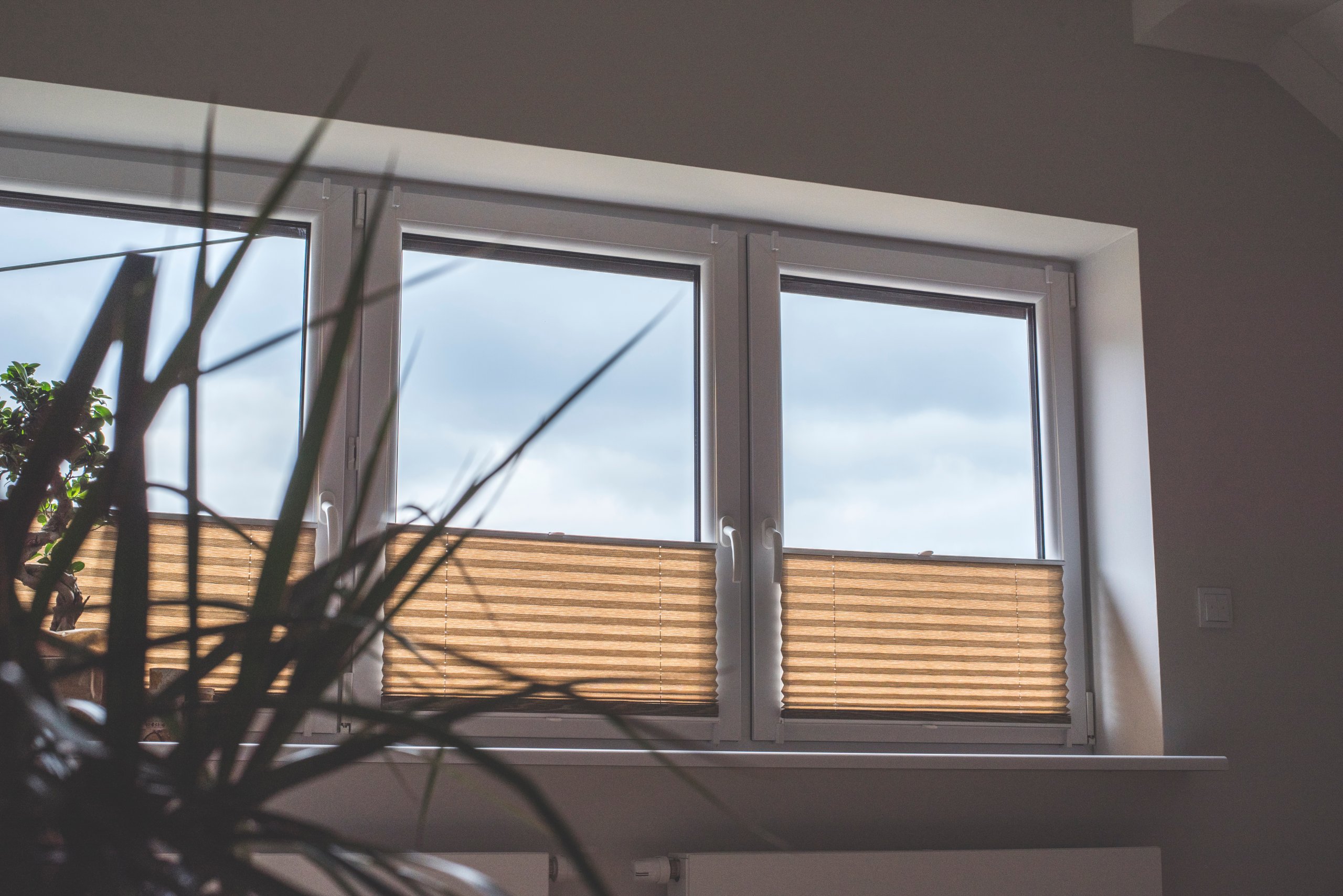 Plisa Roleta Plisowana NA WYMIAR 70x150 Kod producenta PL70150