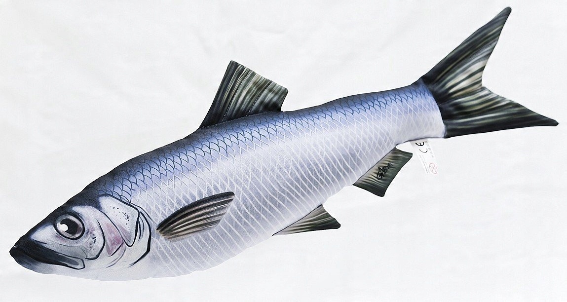 

Maskotka śledź mini ryba - 35cm