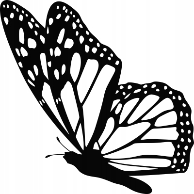 

Naklejka na ścianę z motylem Motyl 20 cm