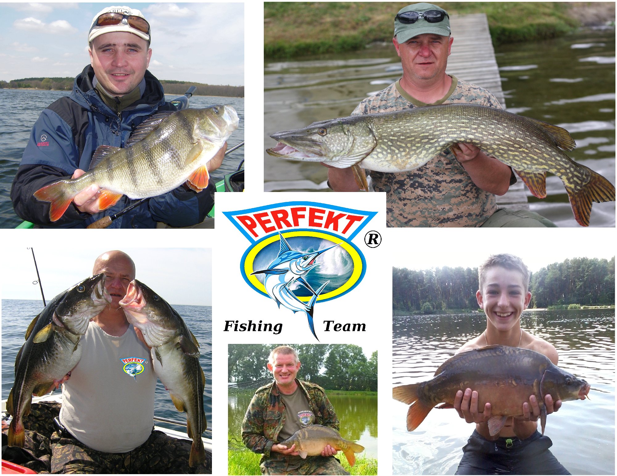 PODUSZKA MASKOTKA PREZENT PSTRĄG TĘCZOWY 62 cm Rodzaj ryba