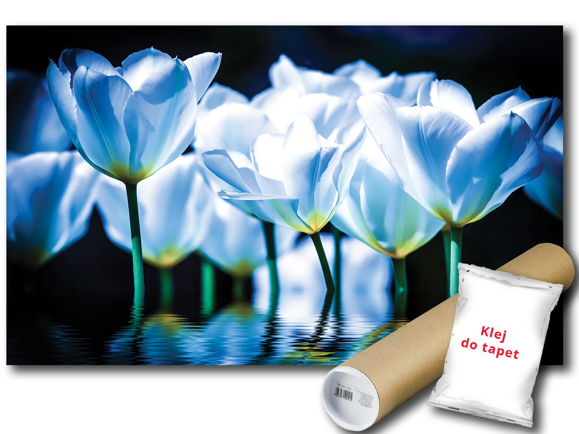 Fototapeta Tulipány Tulipán 9C F2XL 312x219 F1103