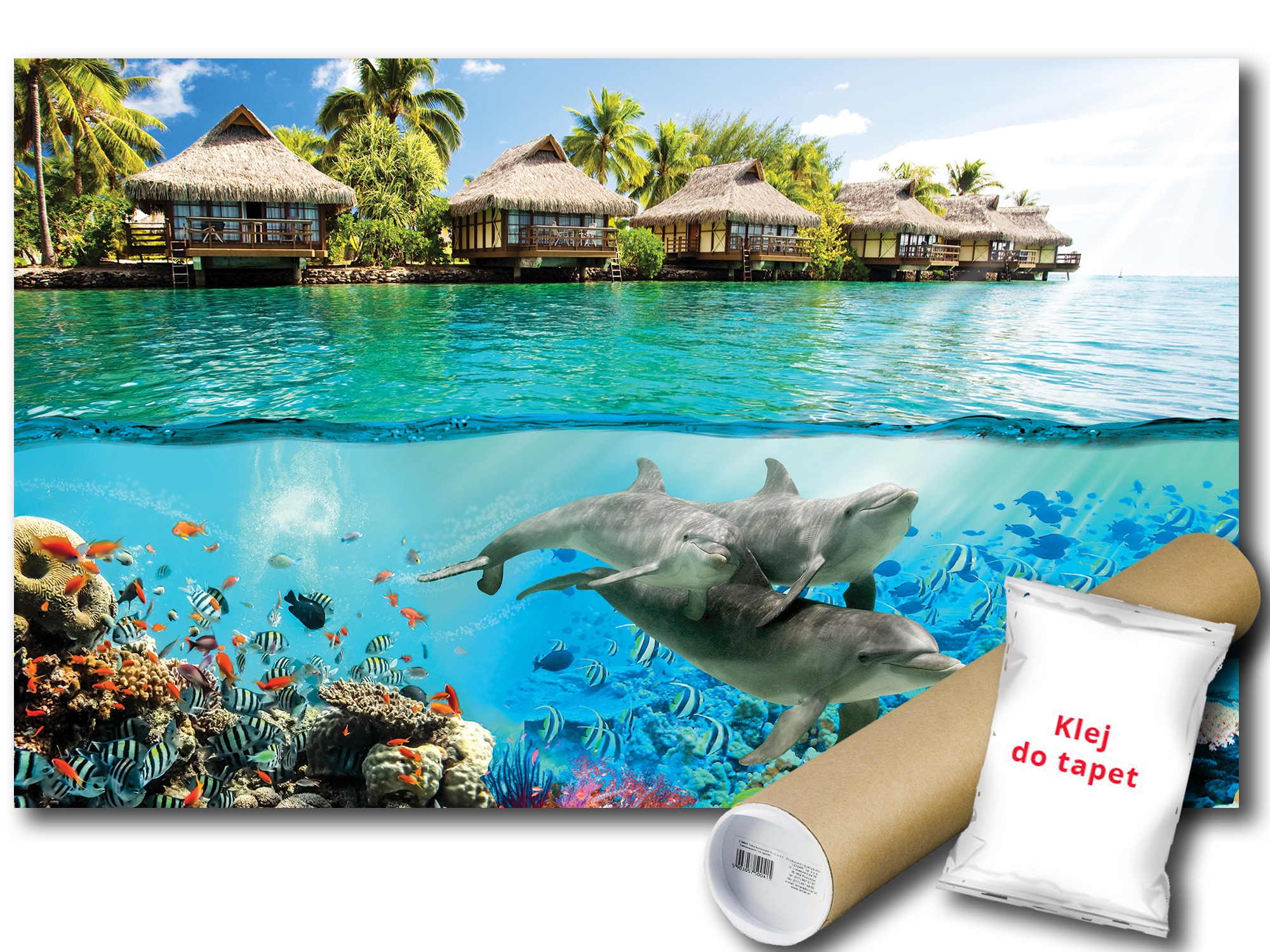 Fototapeta Delfíni Havaj 12C V8 368x254 F3193