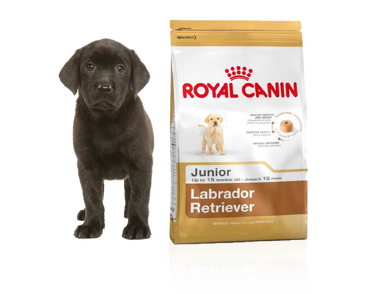 Royal canin junior outlet labrador 12kg