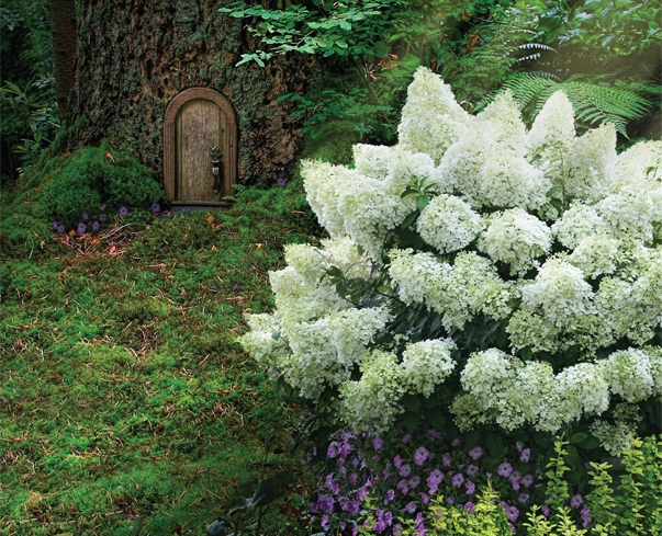 WSPANIAŁ HORTENSJA DIAMANTINO MINIATUROWA Kod producenta 5904172842251