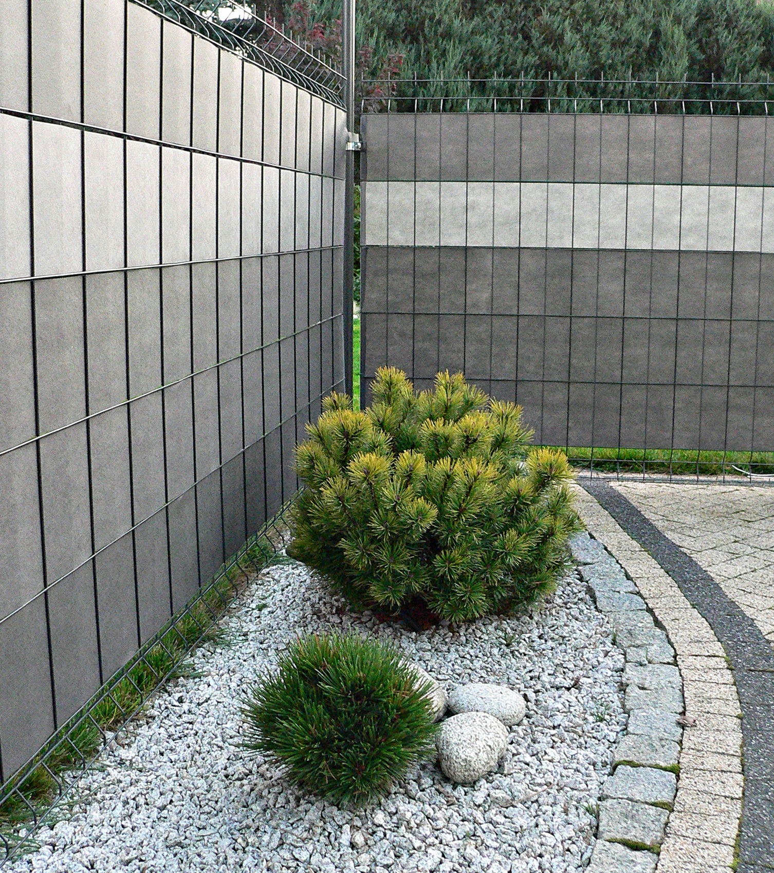 TAŚMA NA OGRODZENIE PŁOT PANEL 19,3cm x 48m PRODUKT POLSKI + GRATIS Kolor szary