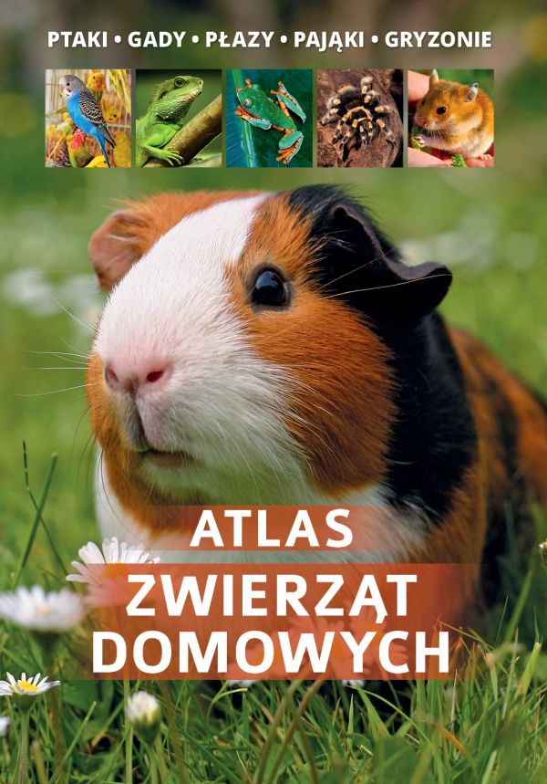 ATLAS ZWIERZĄT DOMOWYCH / TWARDA / NAGRODY / TANIO