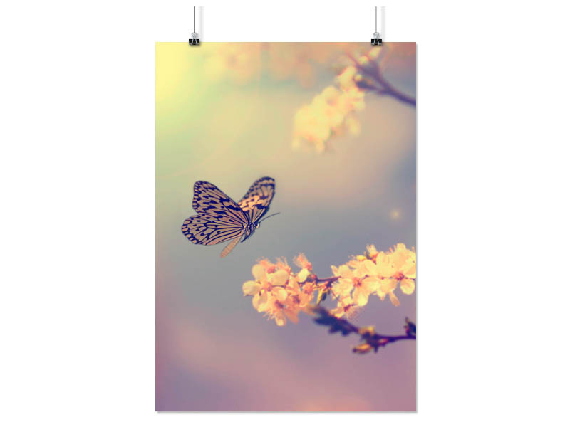 

Plakat Różne Grafiki 90x60 CM 80 Wzorów Matowy