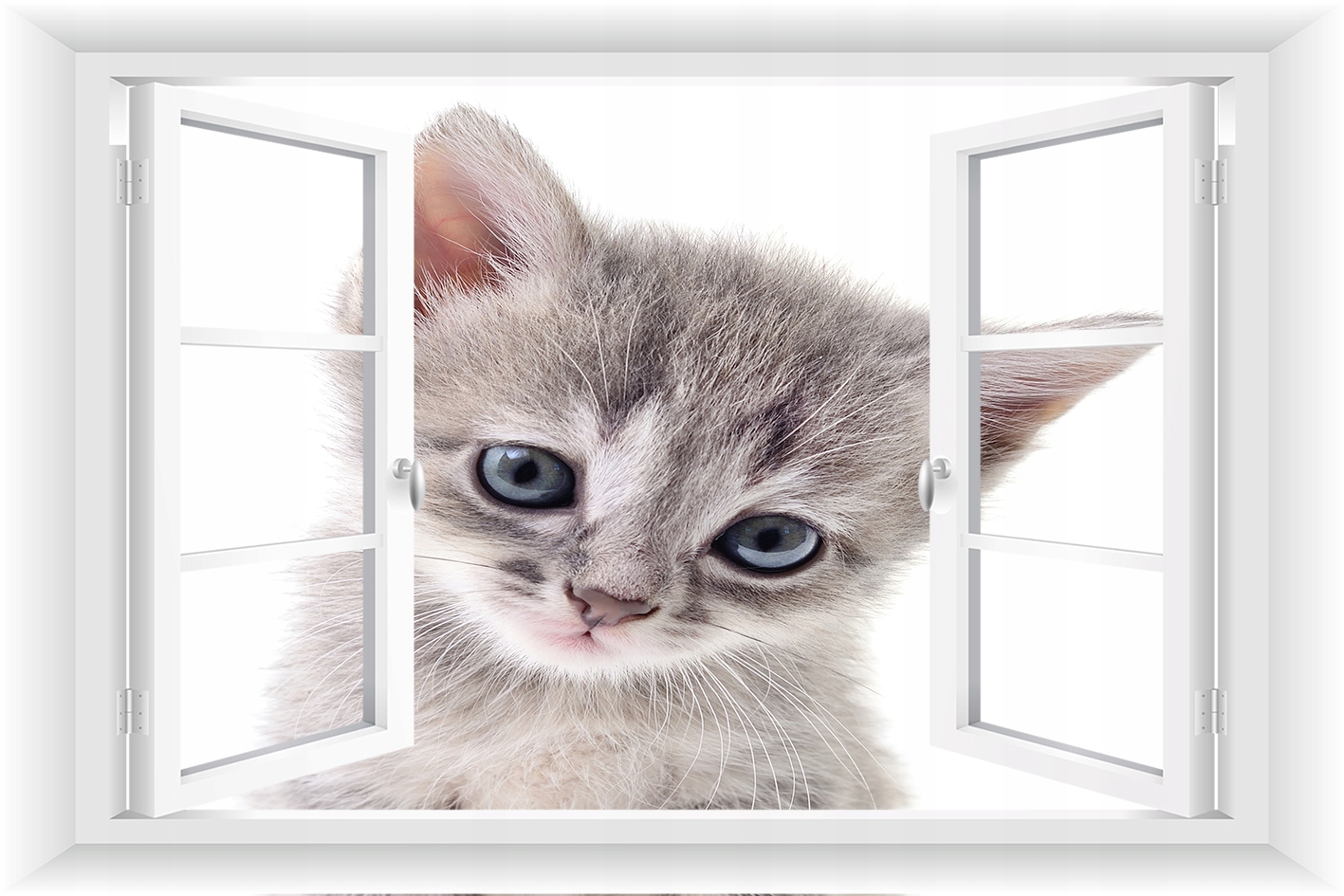 

Fototapeta Okno 3D Kot Koty Łąka Widok 150x100