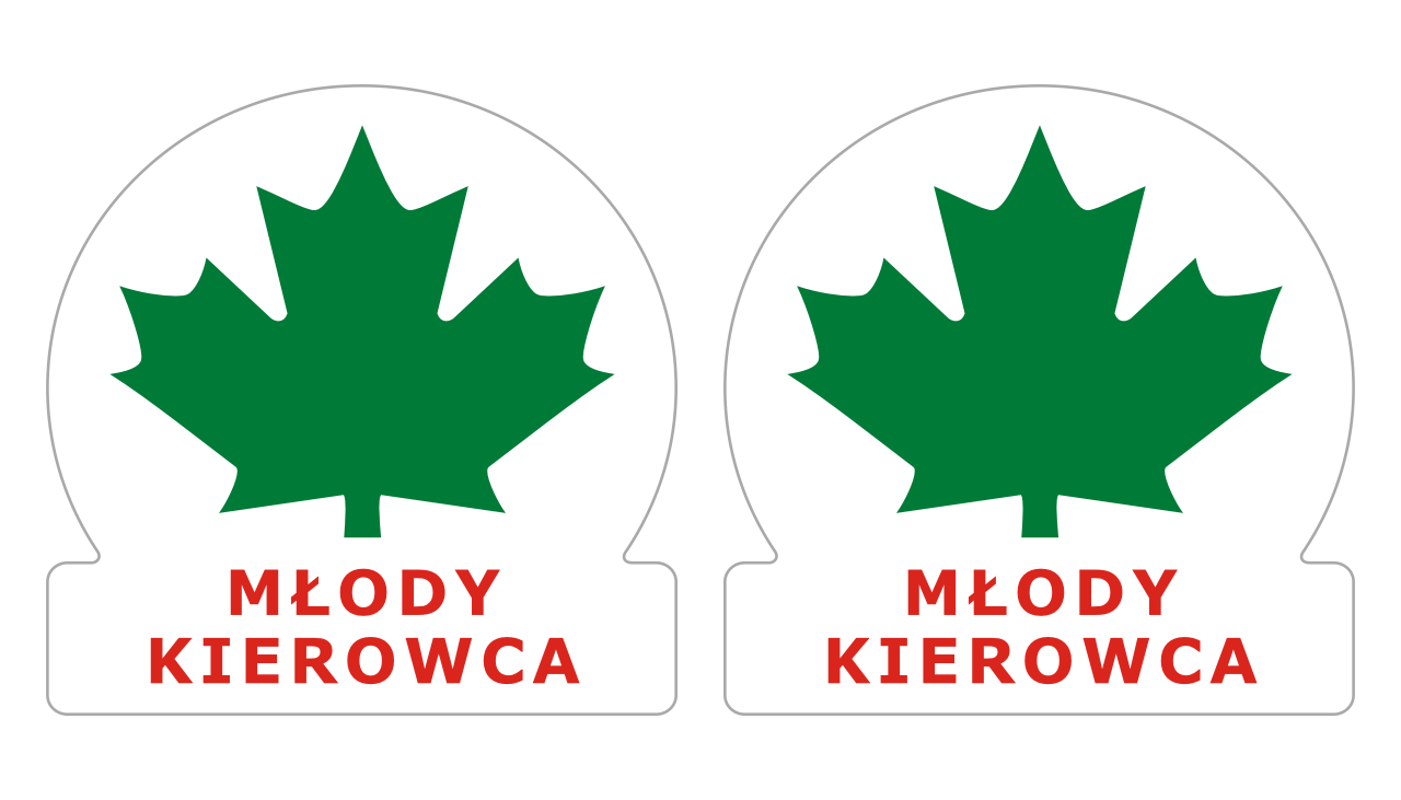 

Naklejka Zielony Listek 2 szt Młody Kierowca