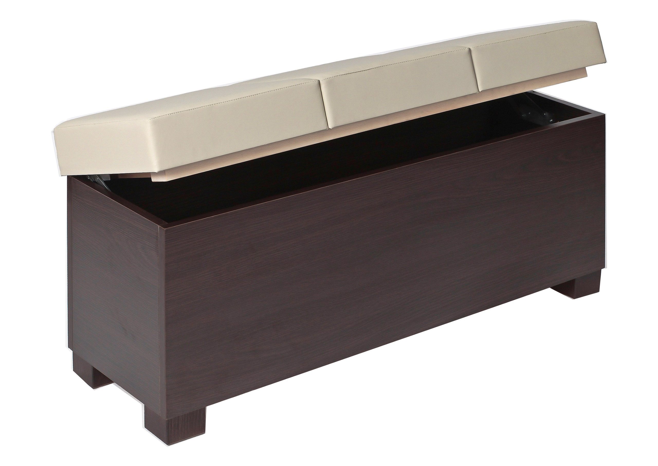 

Pufa otwierana Modern Box III skrzynia ławka