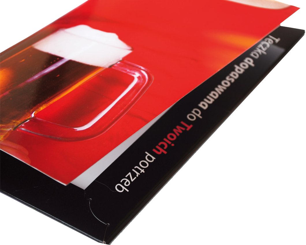 Teczki ofertowe firmowe 500 szt Druk Offsetowy EAN (GTIN) 75384388