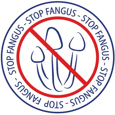 ARKADA REGENERUJĄCE SERUM KOLAGENOWE DO PAZNOKCI Przeznaczenie do paznokci