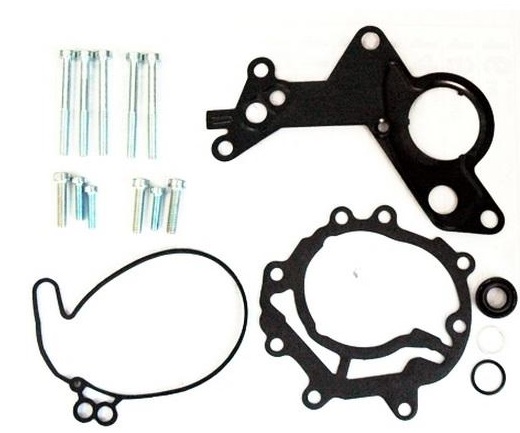 КОМПЛЕКТ ДЛЯ РЕМОНТУ НАСОСУ ПАЛИВА VW AUDI38145209m