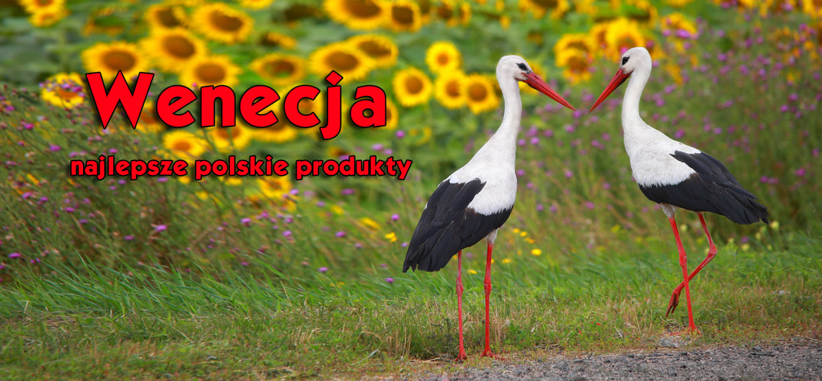 SKARPETKI STOPKI FULLPRINT 3D ŁAPACZ SNÓW MODNE EAN (GTIN) 5906333419159