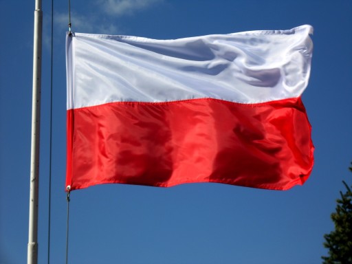 Flaga Polski Narodowa 70 x 112 na Maszt PL/70 Rodzaj flaga
