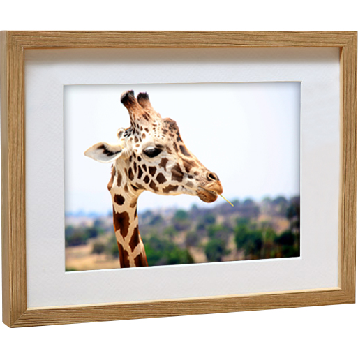 

Rama Drewniana Dębowa 3D 18x24 Passe-partout 13x18