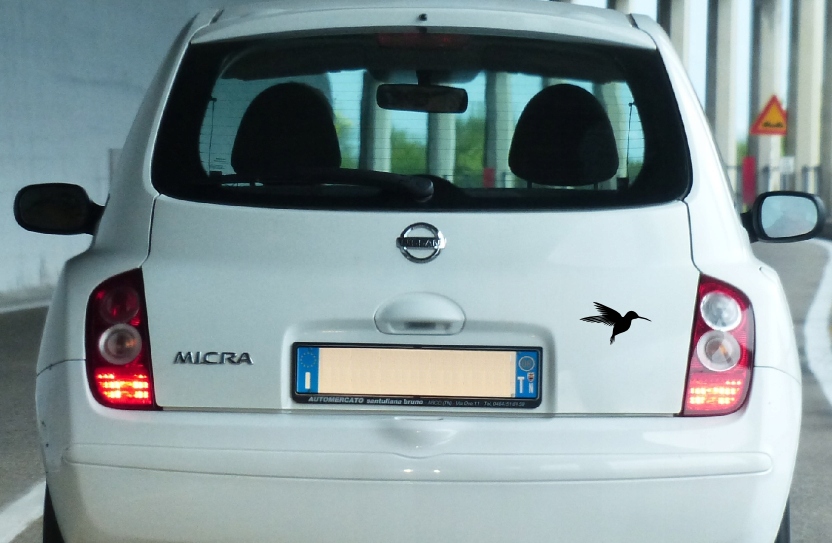 naklejka koliber ptak 12cm Kod producenta COMMNSK04