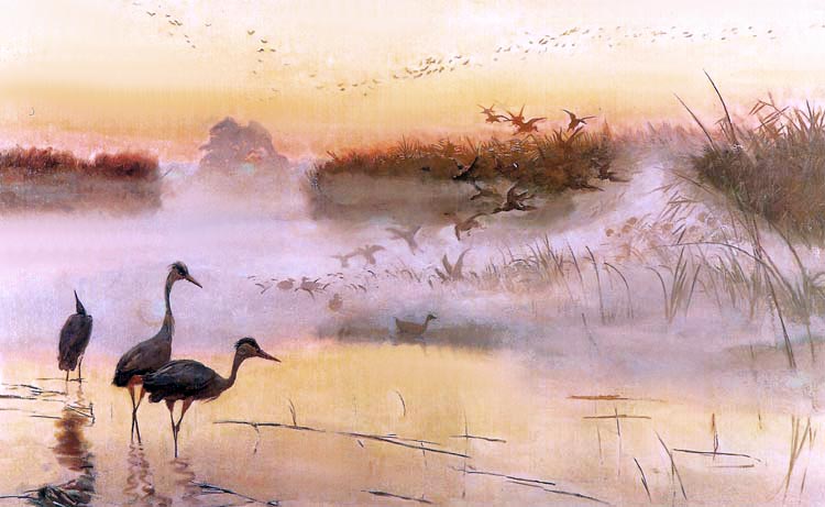 OBRAZ OLEJNY CHEŁMOŃSKI KRÓLESTWO PTAKÓW ŚWIT Marka inna