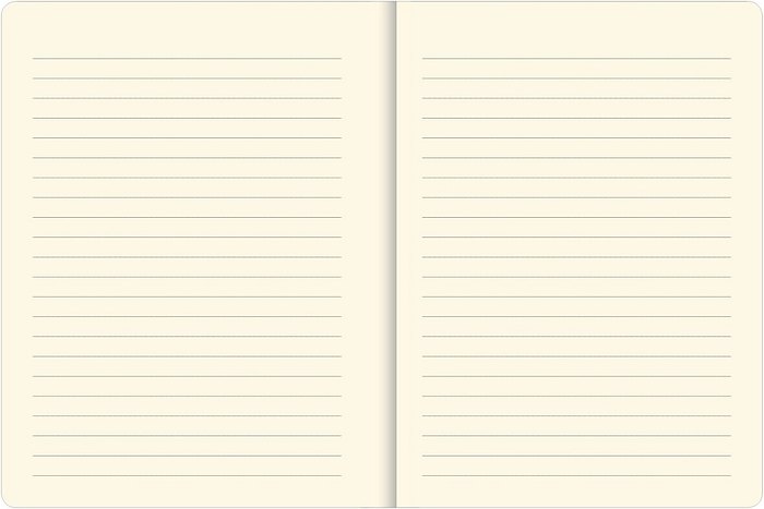 Notes Pauper notatnik Gitara pamiętnik notes A5 Język publikacji polski