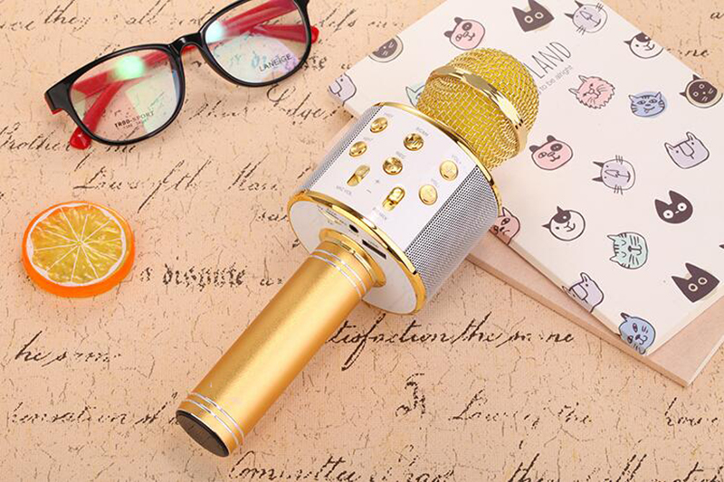 MIKROFON BEZPRZEWODOWY KARAOKE GŁOŚNIK BLUETOOTH Model WS-858