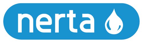 NERTA INTERIOR PŁYN DO PRANIA TAPICERKI DYWANÓW 5L Producent Nerta